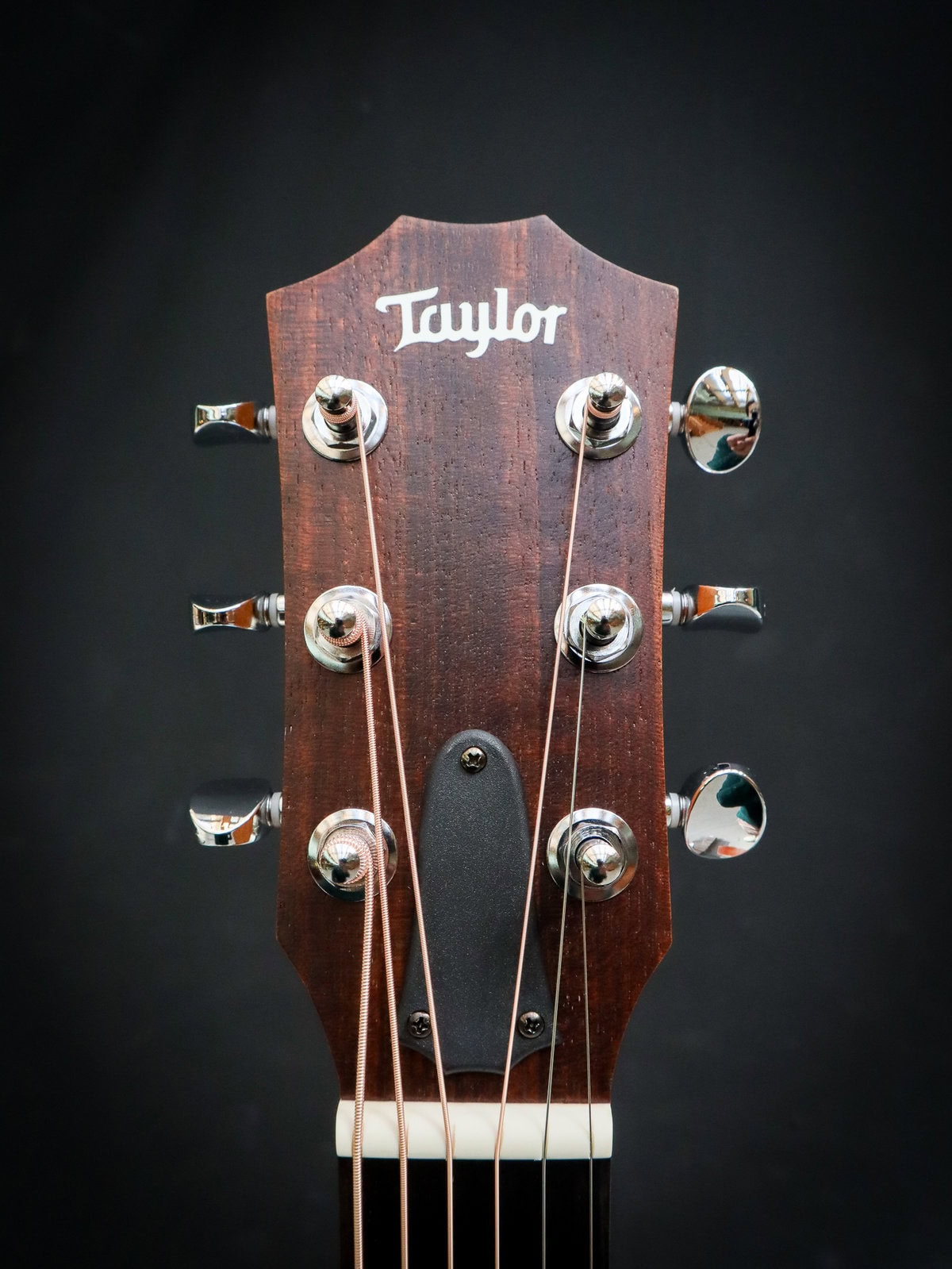 Taylor GS Mini Sapele Kauffmann s Guitar Store