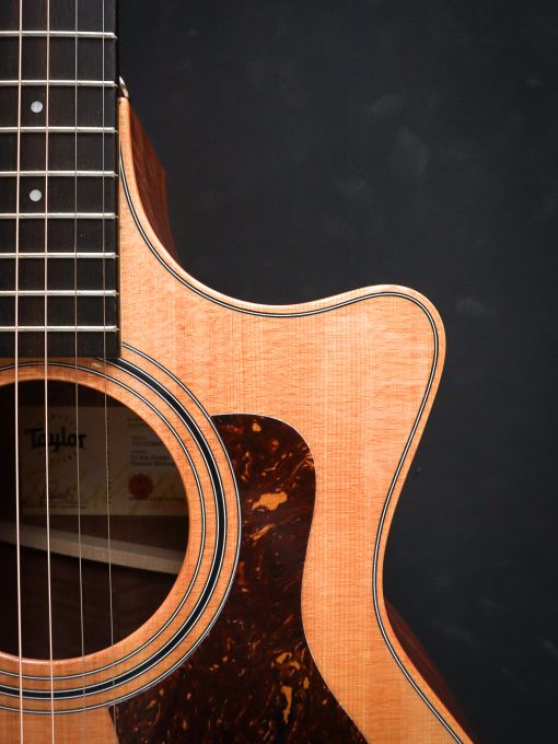 Taylor 314ce Studio Special Edition - Image 10