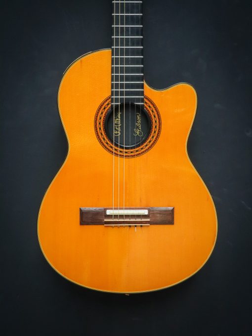 1982 Gibson Chet Atkins Classic Electric - Image 3