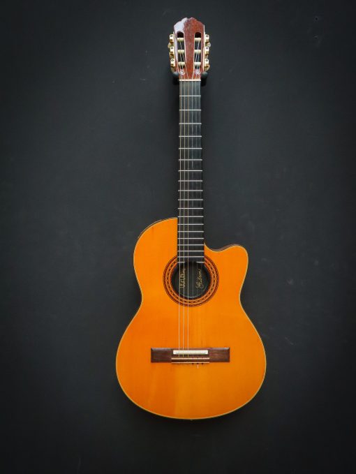 1982 Gibson Chet Atkins Classic Electric - Image 2