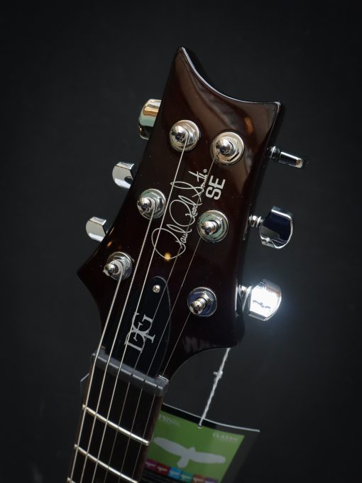 PRS SE DGT McCarty Goldtop - Image 11